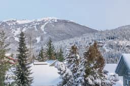 Luxury 4BR: 5 min to Vill, Fireplace, Free Parking, Sleeps 8! - Image 4