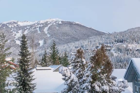 Luxury 4BR: 5 min to Vill, Fireplace, Free Parking, Sleeps 8! - Image 4