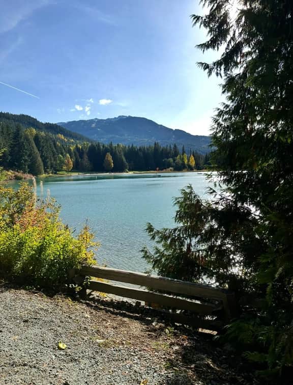 Comfy 1BR: Sleeps 4 with AC. Walk to Everything!